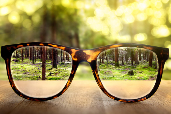 Eot Prodaja Opticnih Pripomockov Za Splosno In Specialno Rabo